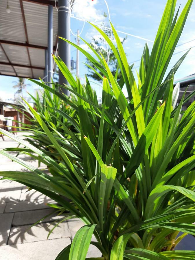 Apartamento Connect Phan Thiet Exterior foto